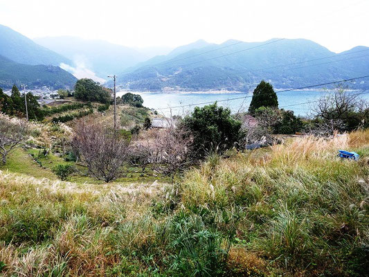 detached 熊野市新鹿町