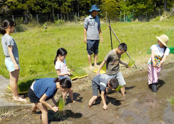自然豊かな熊野市での子育てを応援いたします。