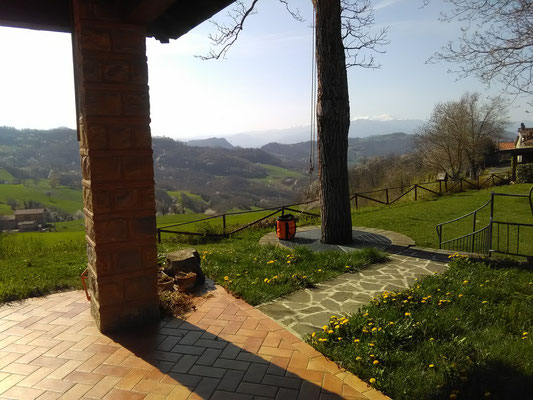 Intervento in tree climbing - Appenino Emiliano