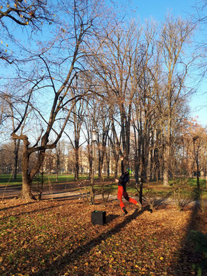 Lancio del sagolino - Marco Montepietra - Parco Ducale Parma 