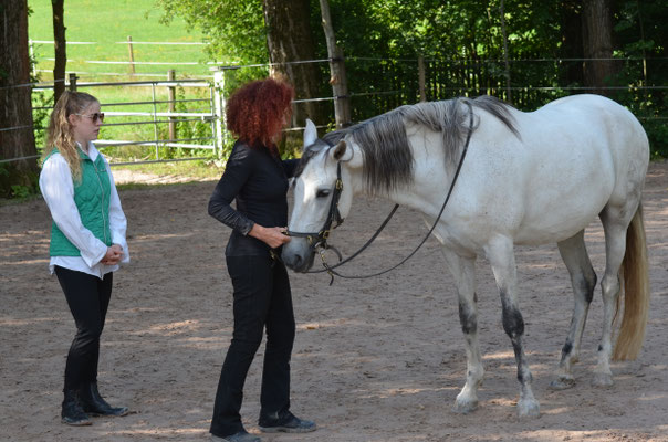 Dinkelsbühl 12./13.08.2019