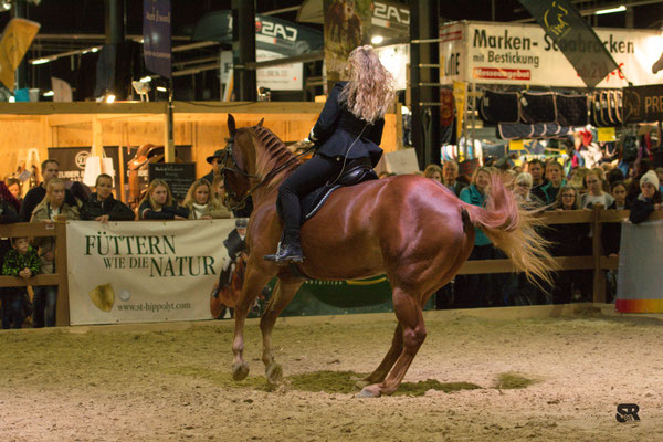 QB in a canter pirouette