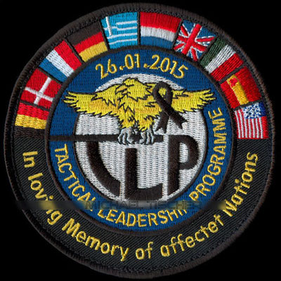 Taktisches Luftwaffengeschwader 33, Büchel,