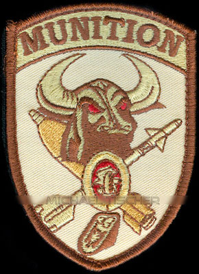 Taktisches Luftwaffengeschwader 33, Büchel, Munition, desert