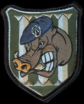 2. Luftwaffensicherungsstaffel, 3. Zug, Taktisches Luftwaffengeschwader 33
