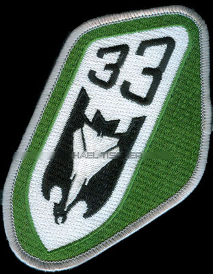 Taktisches Luftwaffengeschwader 33, (green)