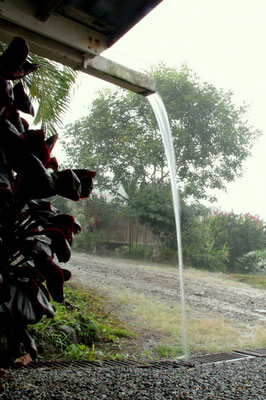 Der einzige Regenguss während unserer Zeit auf der Finca - Wasserknappheit war ein Dauerthema