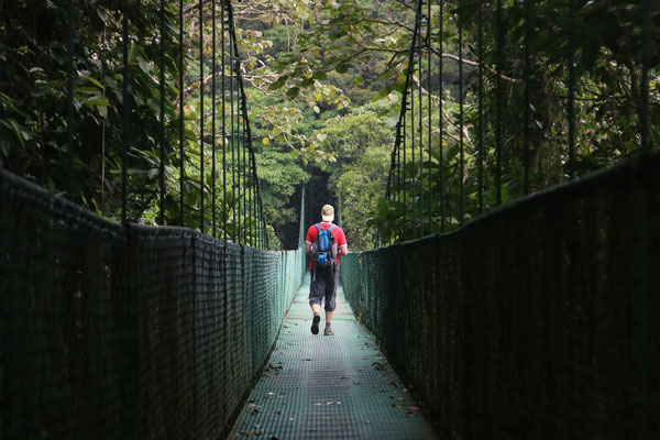 Auf Hängebrücken durch die Baumkronen in Monteverde