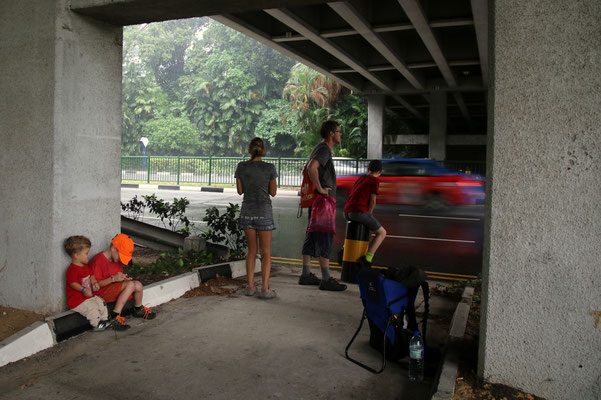 Tags darauf zogen wir alleine los. Ein unfreiwilliger Regen-Halt unter einer Autobrücke kostete uns fast eine Stunde.