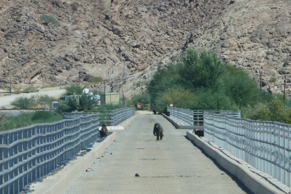 Auf der Brücke über den Oranjeriver im Niemandsland zwischen Namibia und Südafrika zusammen mit "einheimischen Schmugglern" 