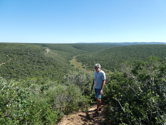 Blick in den Addo Nationalpark