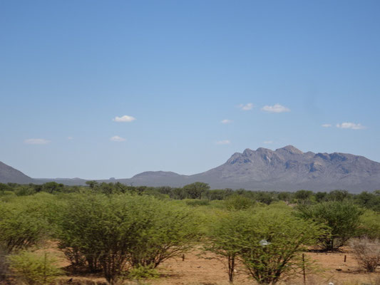 Auf der Fahrt zum Nature Reserve