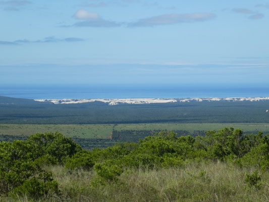 Im Hintergrund riesige Dünen