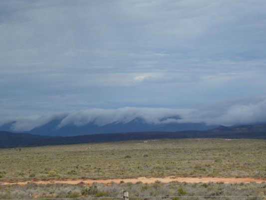 Fahrt nach Swellendam