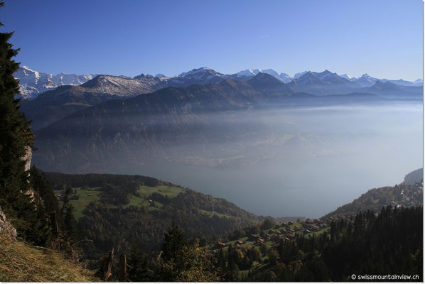 hier hinunter Richtung Beatenberg und Thunersee belohnt.