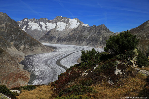 Moosfluh - Aletschgletscher