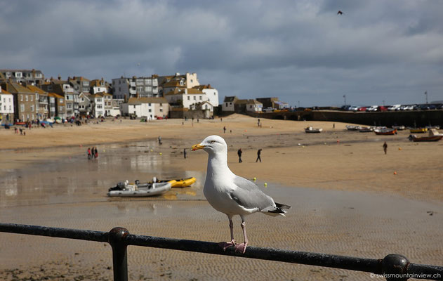 St. Ives