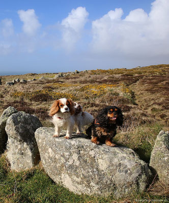 Land's End