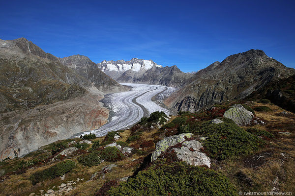 Moosfluh - Aletschgletscher