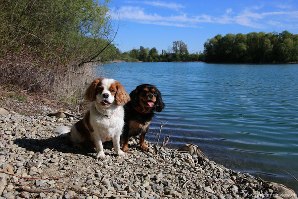 Schlosssee in Salem