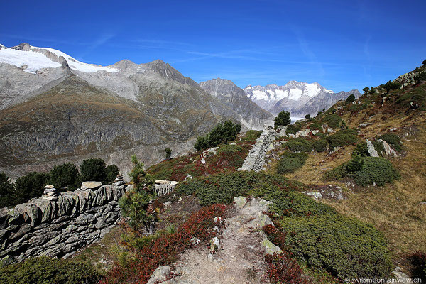 Moosfluh - Aletschgletscher