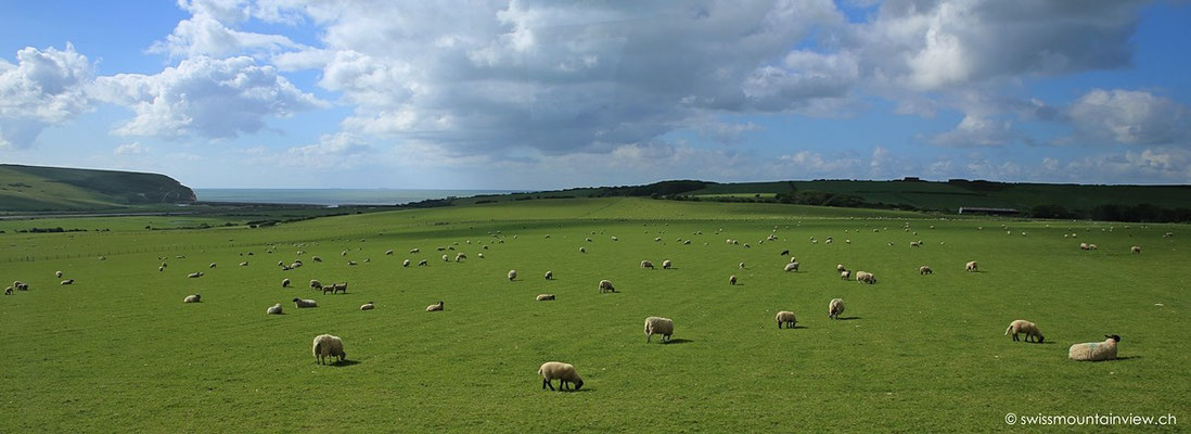 Busfahrt von Eastbourne nach Brighton ©swissmountainview.ch 