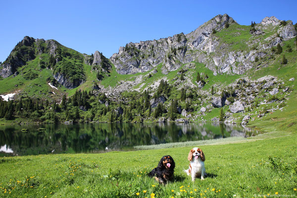 Nach rund einer Viertelstunde kommen wir bei diesem wunderschönen Bergsee an.