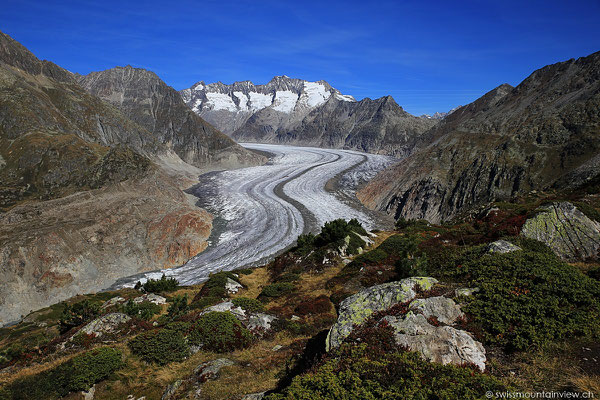 Moosfluh - Aletschgletscher