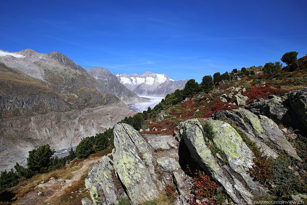 Moosfluh - Aletschgletscher