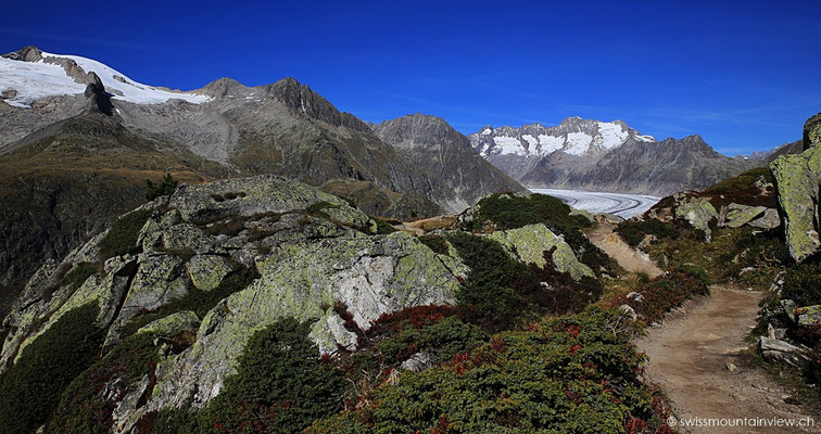 Moosfluh - Aletschgletscher