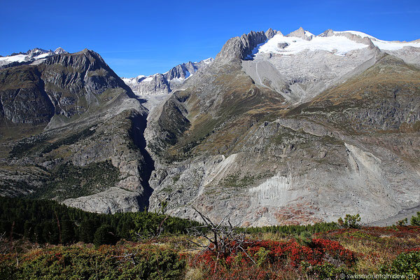 Moosfluh - Aletschgletscher