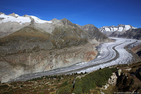 Moosfluh - Aletschgletscher