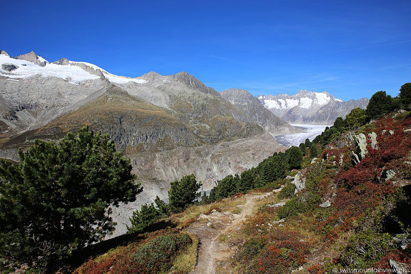 Moosfluh - Aletschgletscher