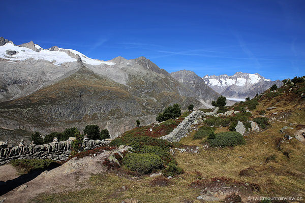 Moosfluh - Aletschgletscher