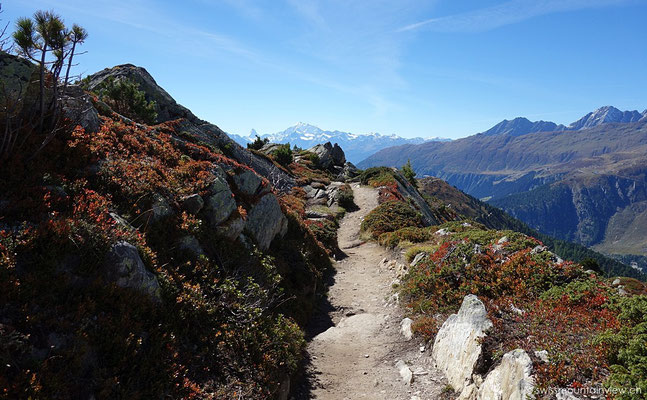 Moosfluh - Aletschgletscher