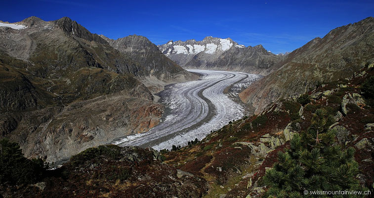 Moosfluh - Aletschgletscher