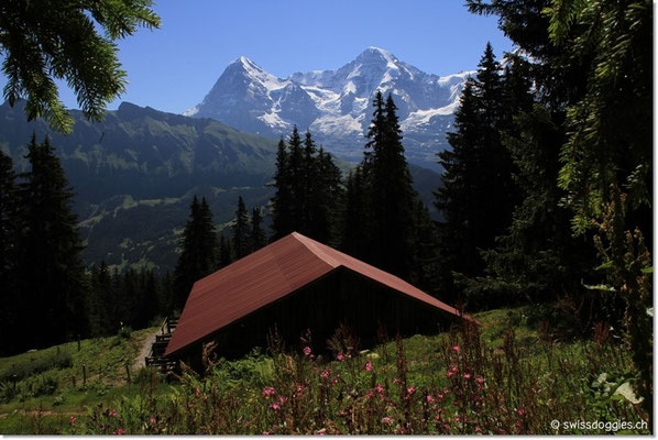 Almhütte