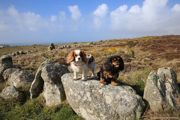 Land's End