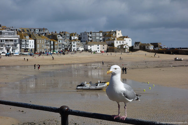 St. Ives