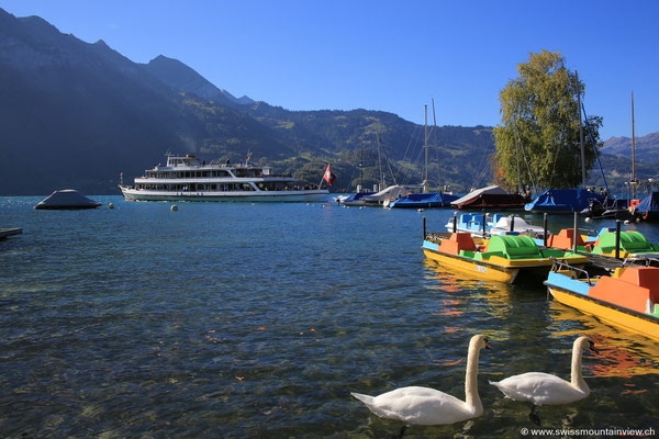 Neuhaus in der Nähe von Interlaken