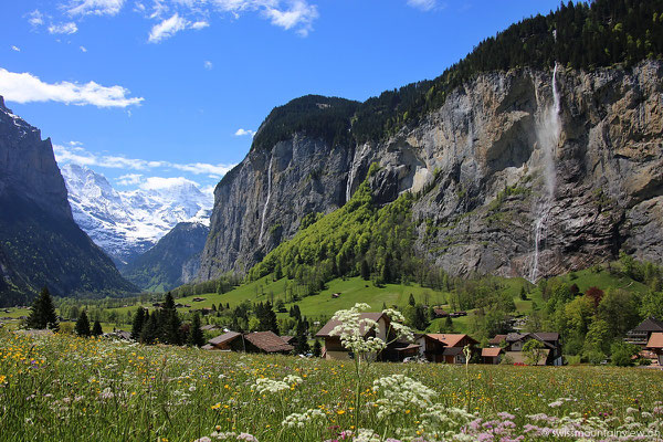 Sehr imposant und wunderschön mit den vielen Blumen.