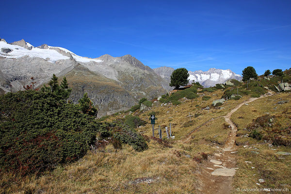 Moosfluh - Aletschgletscher