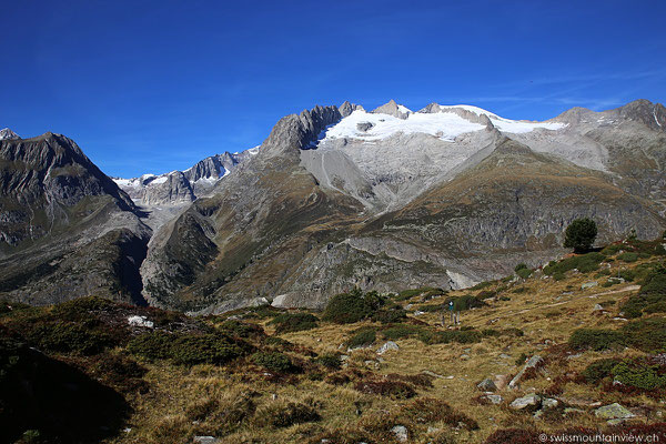 Moosfluh - Aletschgletscher