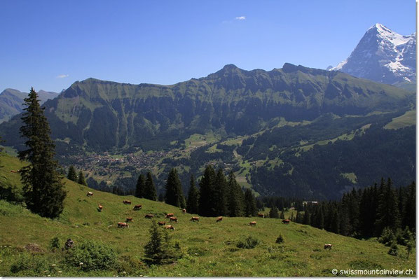 Blick zurück nach Wengen