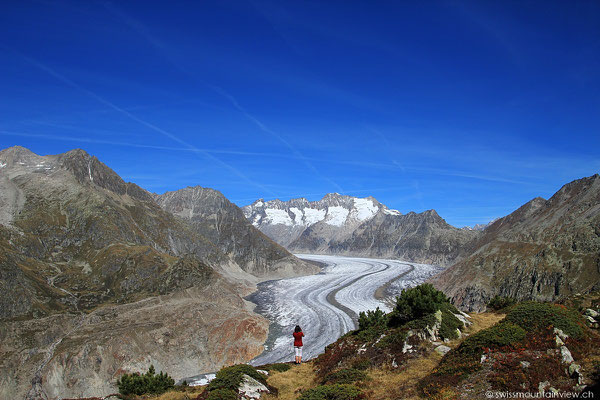 Moosfluh - Aletschgletscher