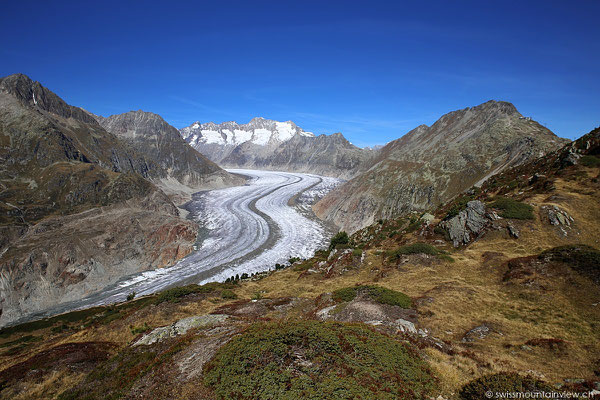 Moosfluh - Aletschgletscher