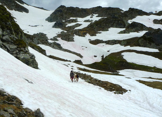 16.6.14, wieder über Schneefelder