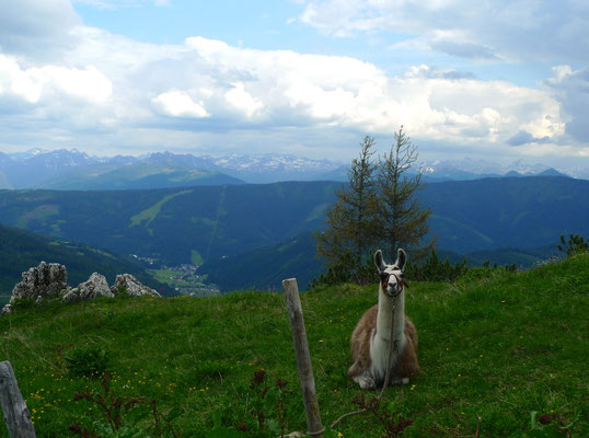 18.6.14, Richtung Filzmoos