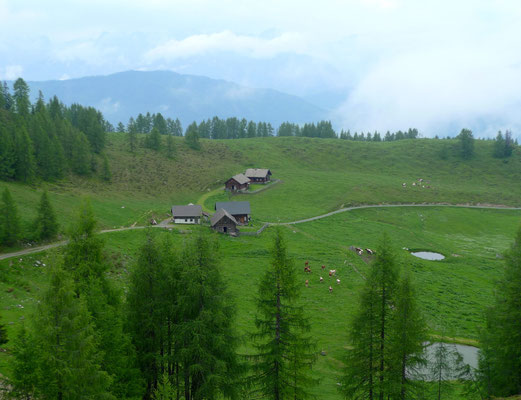 14.6.14, Blick zurück auf die Lackenalmen