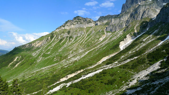 19.6.14, Weg unter der Bischofsmütze